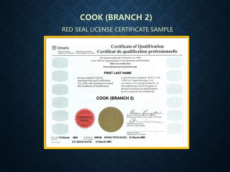 culinary red seal test|red seal certification canada chef.